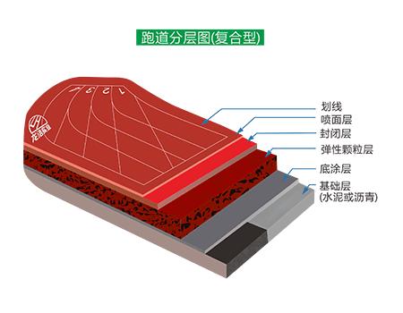 複合型芭乐视频APP在线观看跑道結構